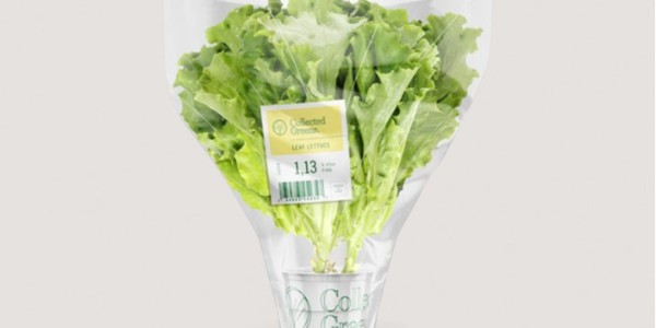 熱敏紙上的字消失了還可以恢復嗎？