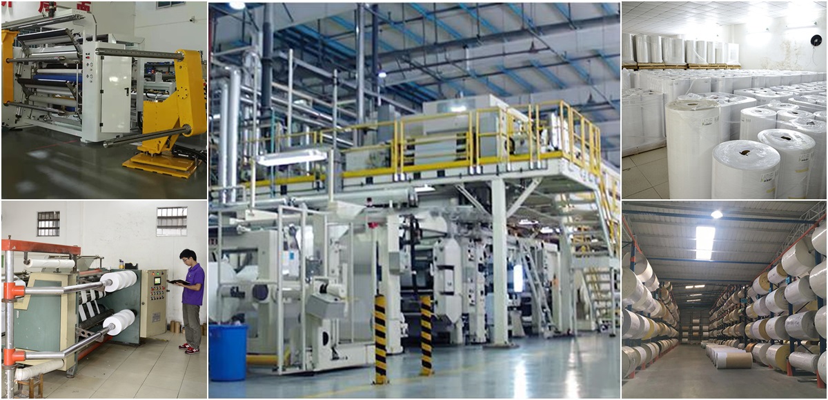 賽諾生產(chǎn)實力