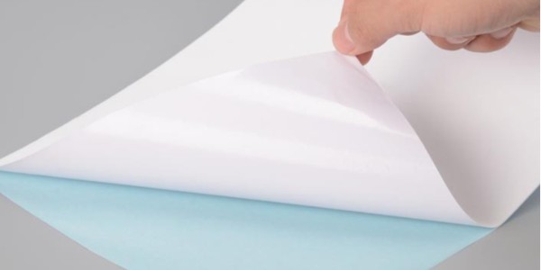 艾利的NW5572不干膠與普通熱敏紙NWS612的區別在哪里？